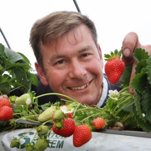 Tim Stockwell