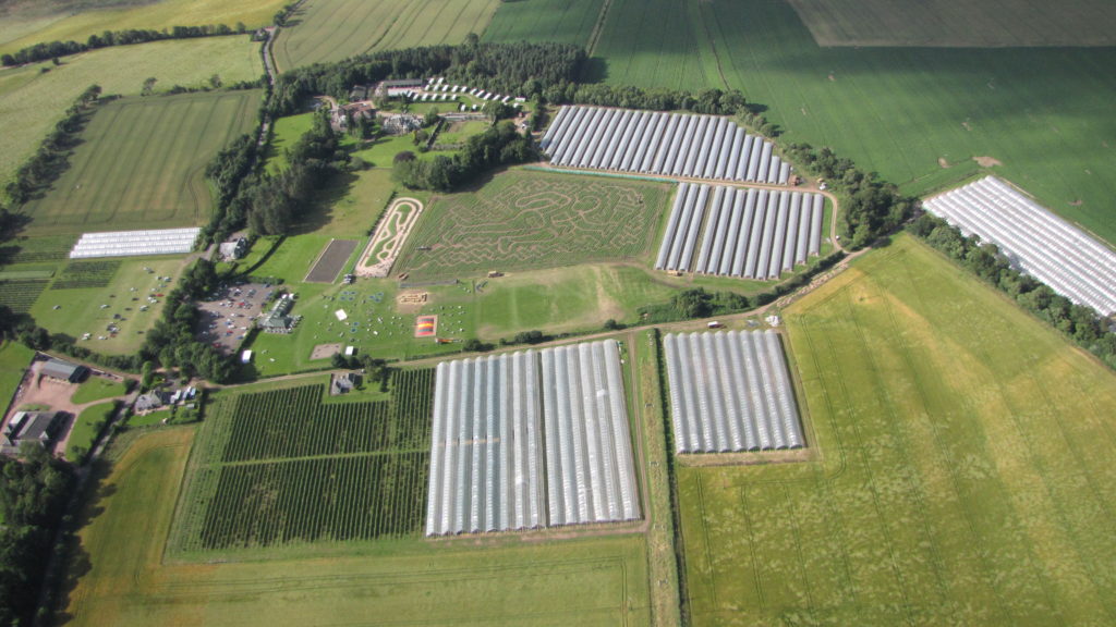 Cairnie Farming Company Jobs Angus Growers cairnie-farming-company-jobs-angus-growers